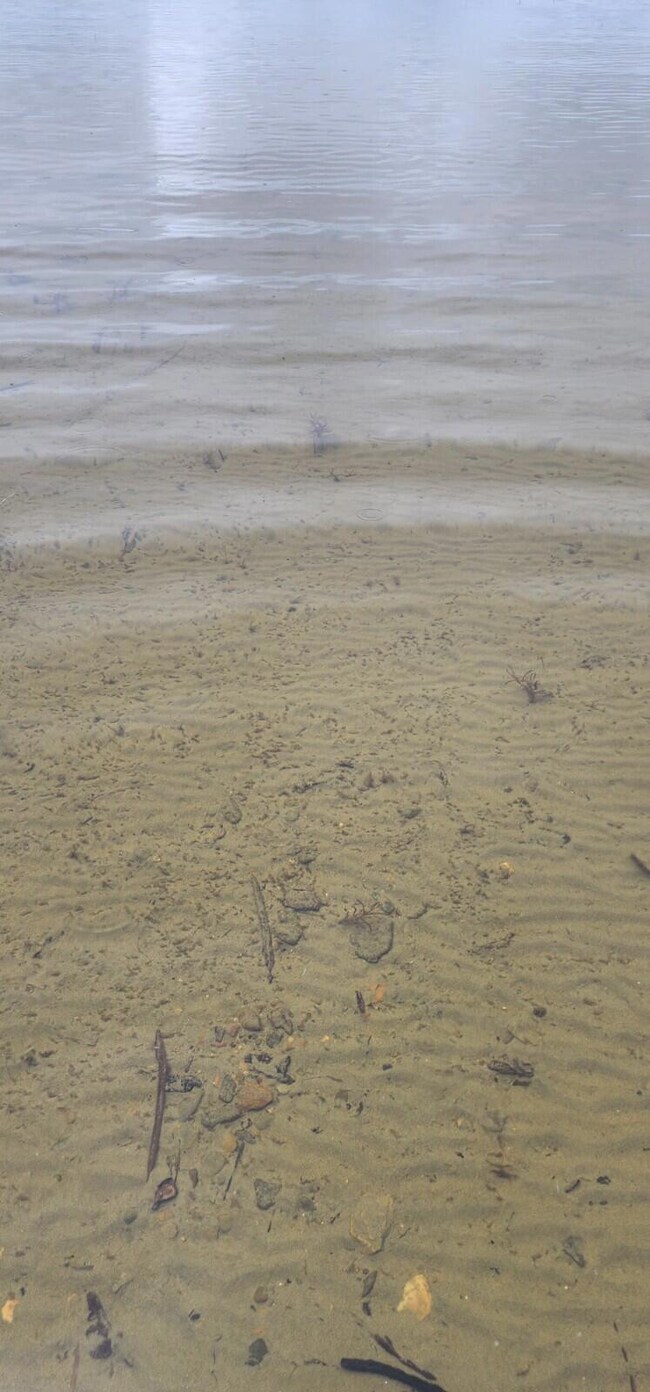 Lot 23 Black Point Rd, Danforth, ME 04424 - photo 7