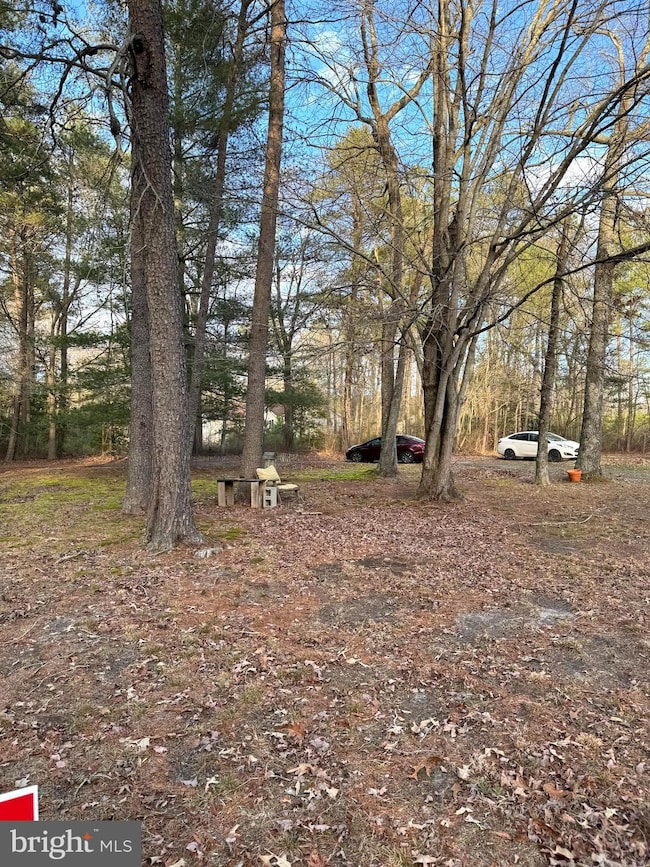 18553 Downs Rd, Georgetown, DE 19947 - photo 3