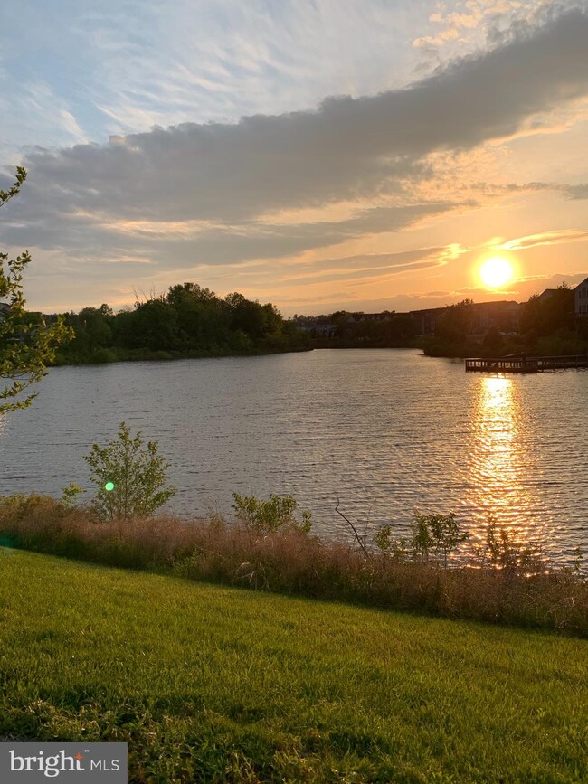 25323 Eldridge Terrace, Chantilly, VA 20152 - photo 5