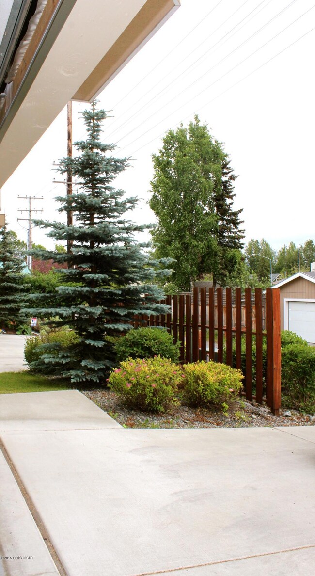 Private Side Yard