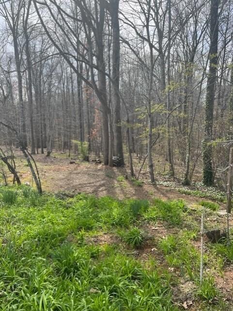 263 Ethel Ln, Statesville, NC 28625 - photo 2