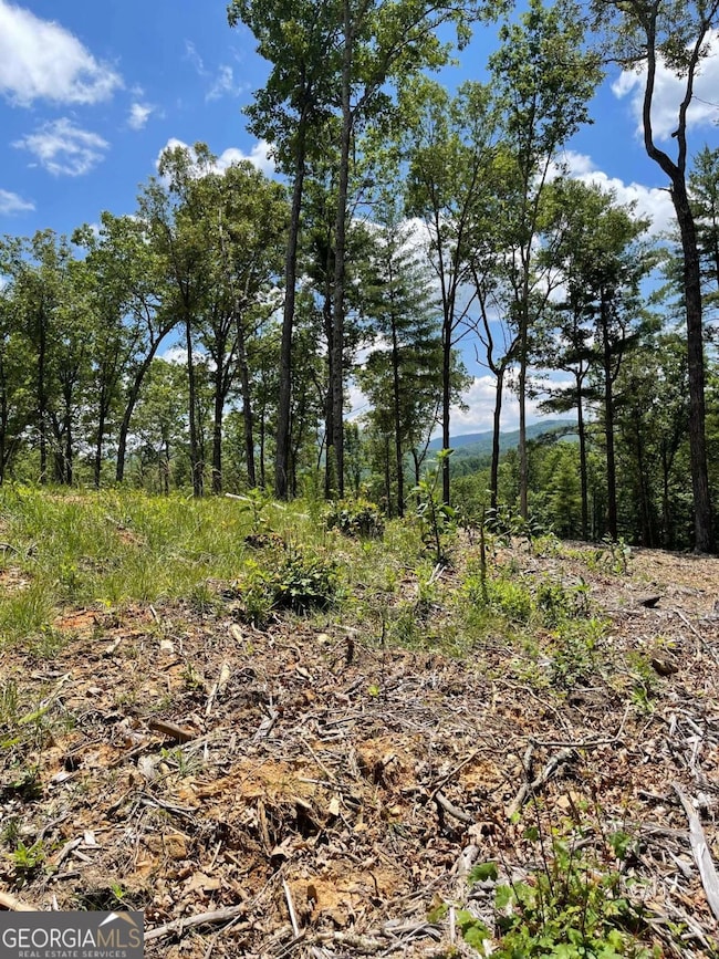 LOT 95 The Ridges, Morganton, GA 30560 - photo 2
