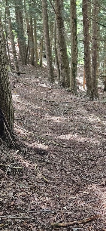 0 Lafayette Rd, Groton, NY 13073 - photo 4