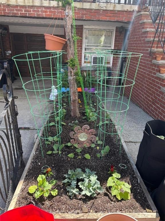 Front Garden