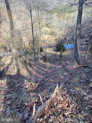 24 Strauter, Franklin, WV 26807 - photo 6