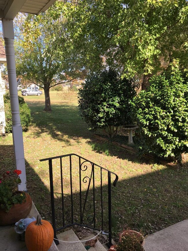 Front steps