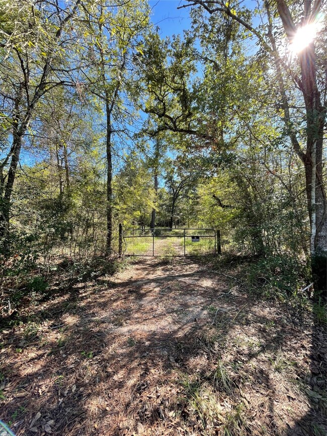 25399 Brushy Creek Dr, Hockley, TX 77447 - photo 4