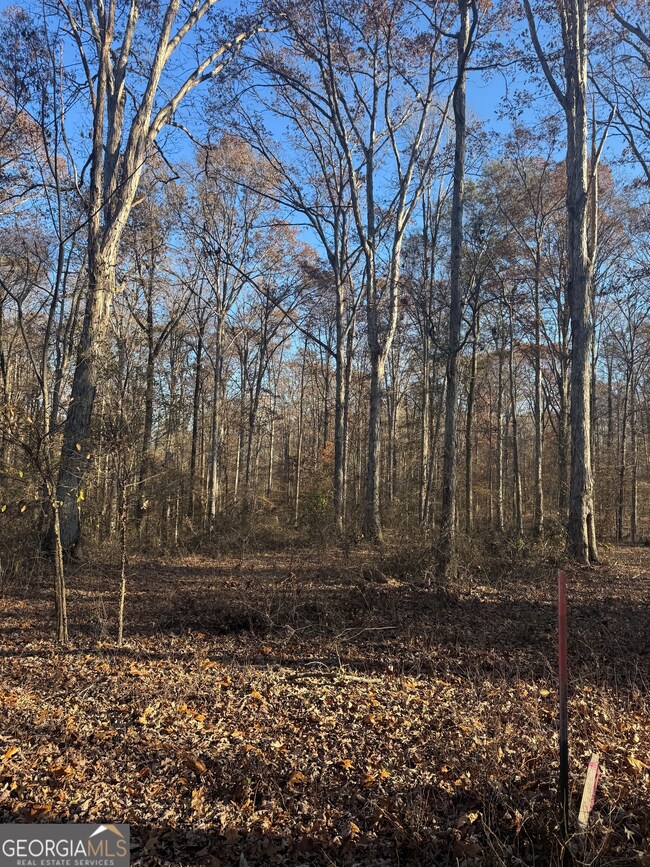 2661 Oakley Trail, Statham, GA 30666 - photo 6