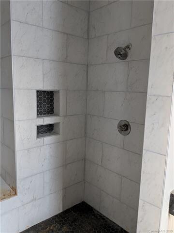 Dual shower head walk-in shower