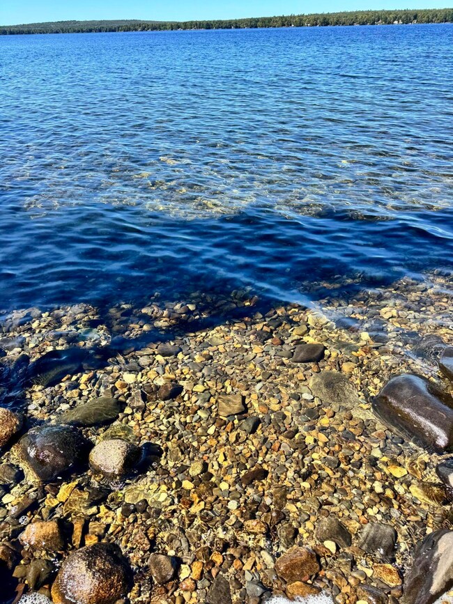 21B-011 Railroad Bed Rd, Lake View Plantation, ME 04463 - photo 4