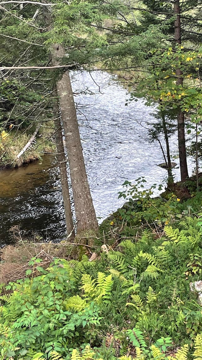 0 US Route 3 unit 4971718, North Stratford, NH 03590 - photo 6