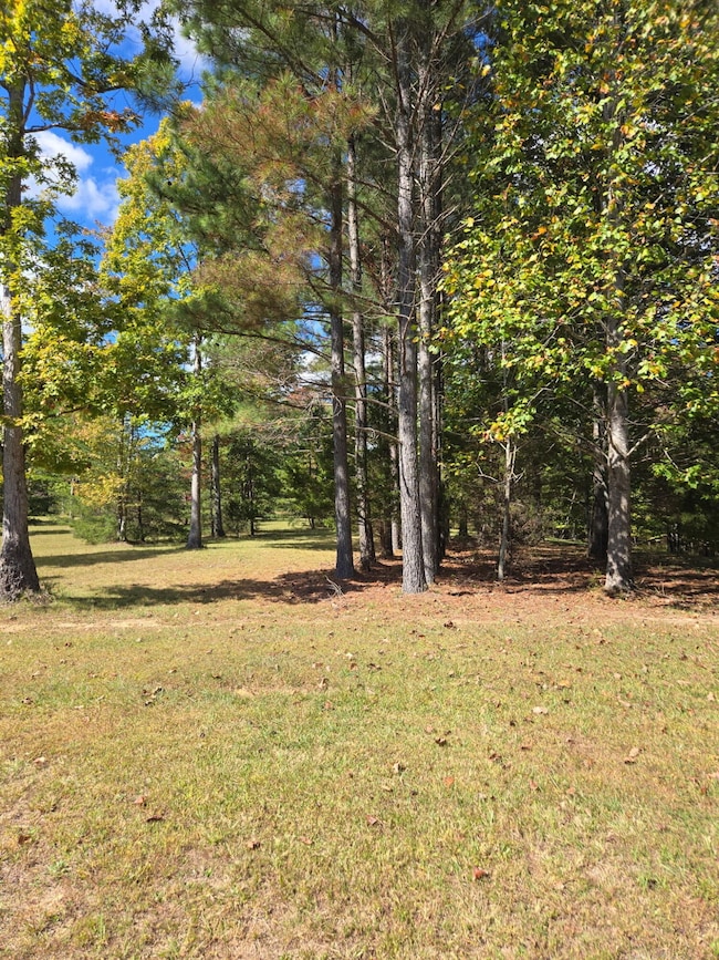 0 Two Lake Trail unit RTC3048910, Dunlap, TN 37327 - photo 2