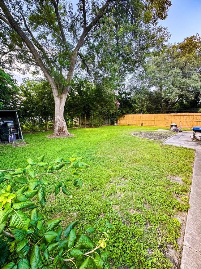 Spacious backyard