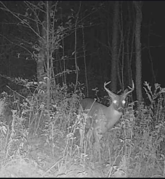 0 Route 11 unit 205006, Churubusco, NY 12923 - photo 7