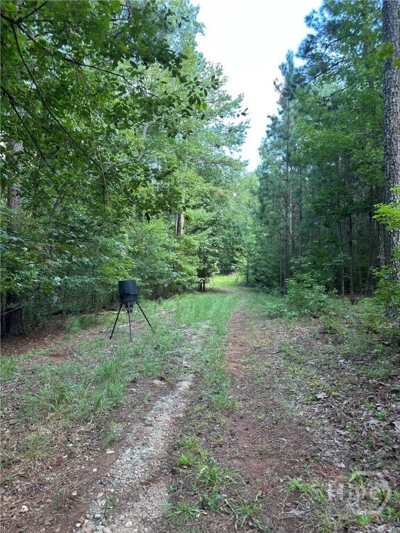 0 Fears Rd unit CL344239, Madison, GA 30650 - photo 7