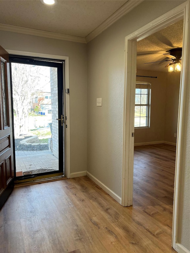 8409 Mild Creek Ln, Denton, TX 76210 - photo 4