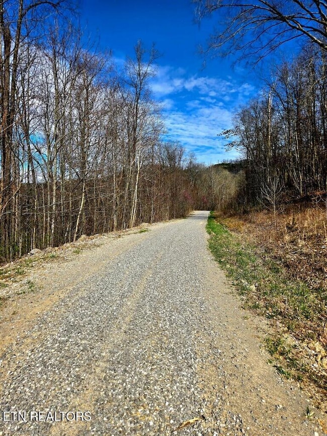 lot 5 Apache Rd, Jamestown, TN 38556 - photo 3