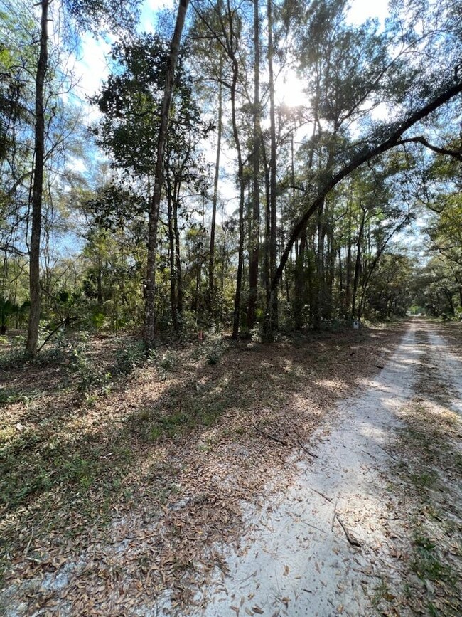 Lot 16 & 17 Owl Ln unit 1, Crawfordville, FL 32327 - photo 3