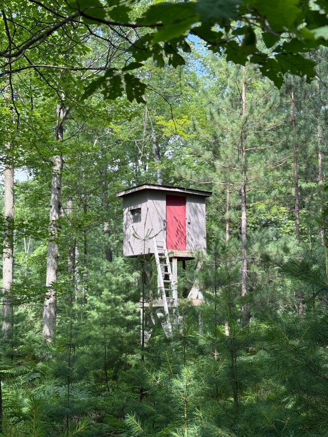 VL 61.11 Acres E Howard Rd, Hay Township, MI 48612 - photo 6