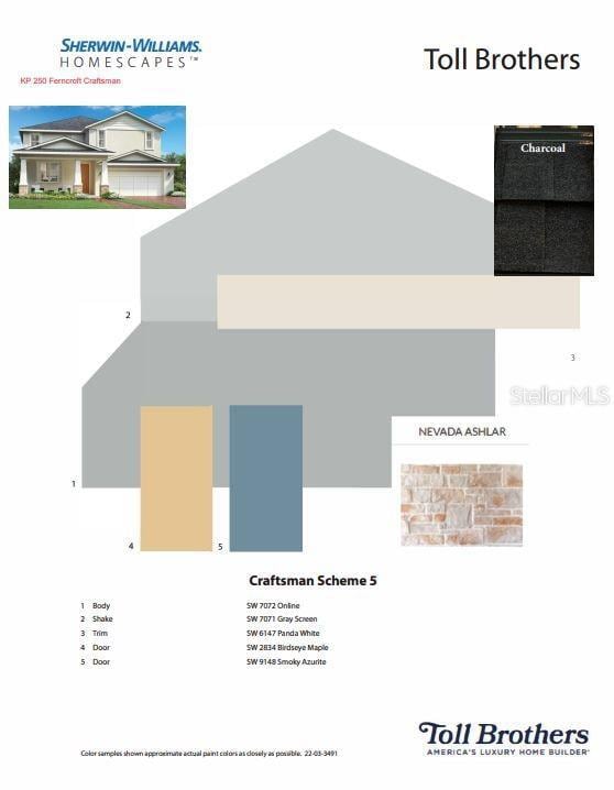 Exterior paint color scheme