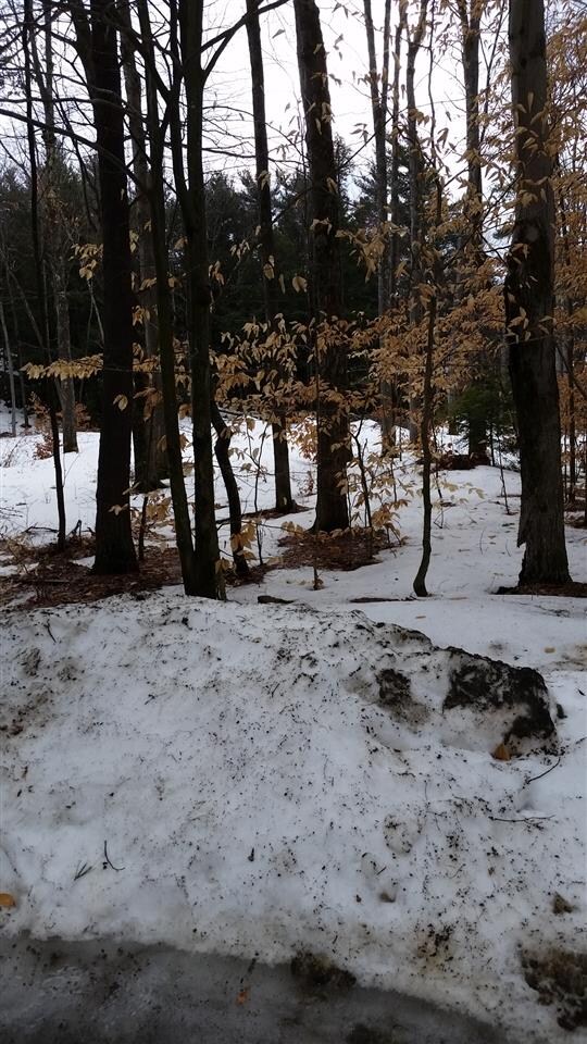 0 Pinnacle Springs Rd, Chesterfield, NH 03443 - photo 2