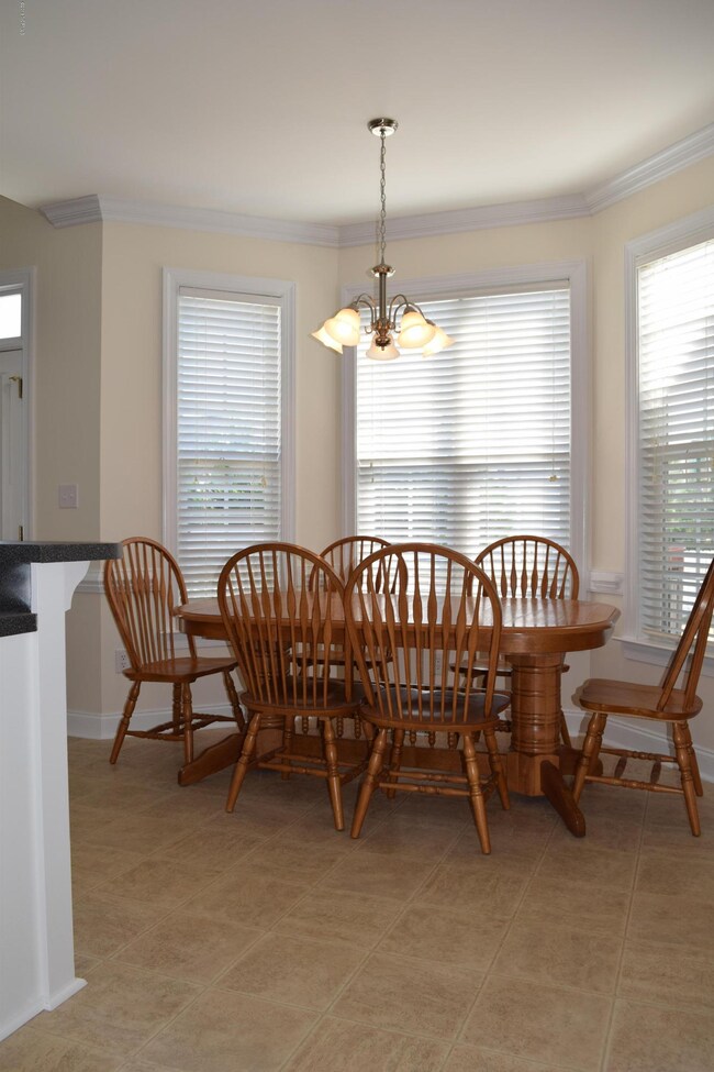 410 Britton Ct, Winterville, NC 28590 - photo 6