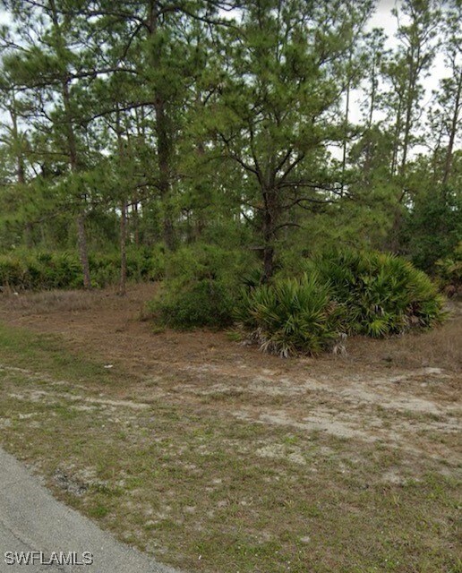 View of local wilderness