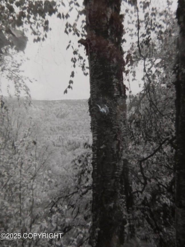 L3-1 Chase 2, Talkeetna, AK 99676 - photo 3