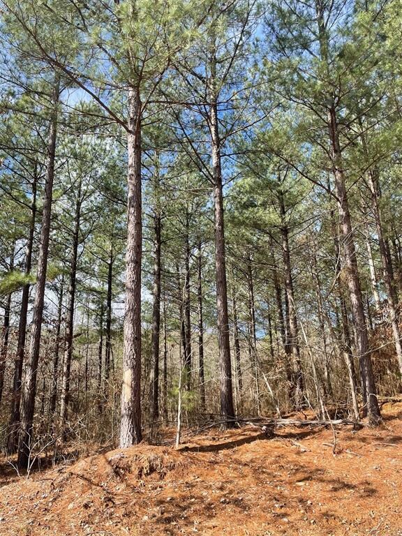 764 Timber Creek Trails South XI, Broken Bow, OK 74728 - photo 6