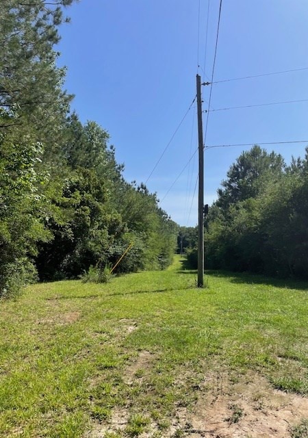 0 Tom Warner Rd, Tylertown, MS 39667 - photo 3