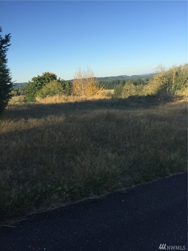 0 Mitchell unit 1208157, Napavine, WA 98565 - photo 4