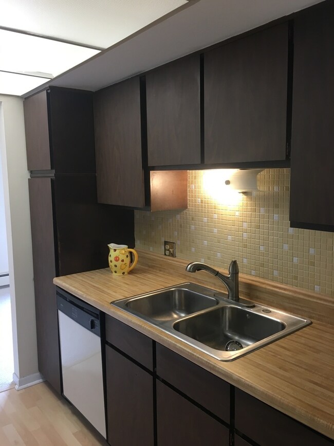 1611 Ashland Ave unit 303, Des Plaines, IL 60016 - photo 5