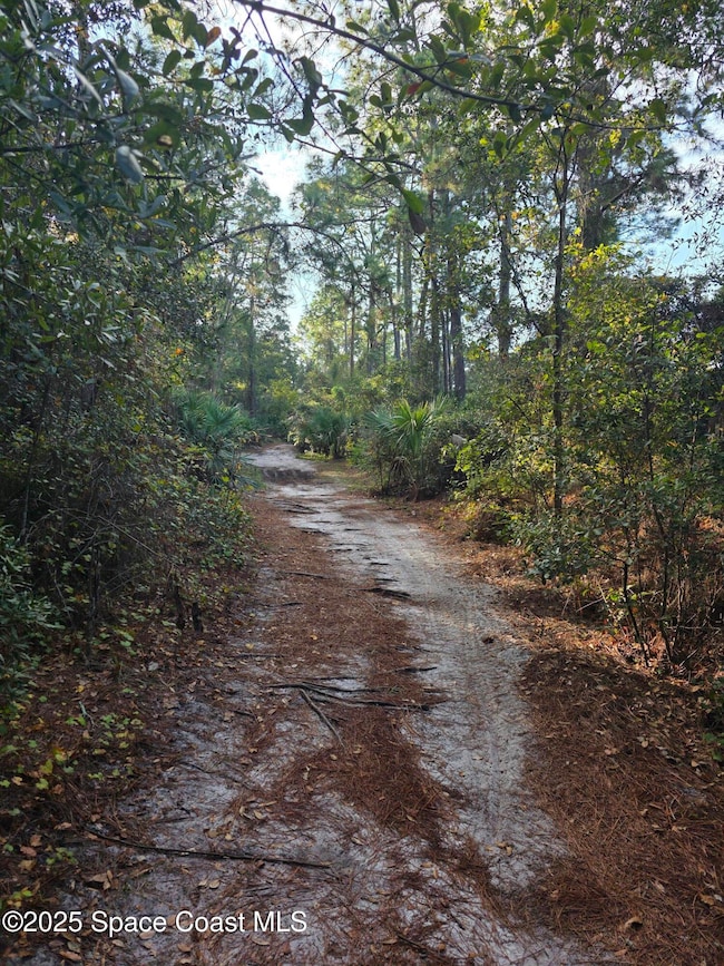 0000 Wood Duck Dr, Mims, FL 32754 - photo 5