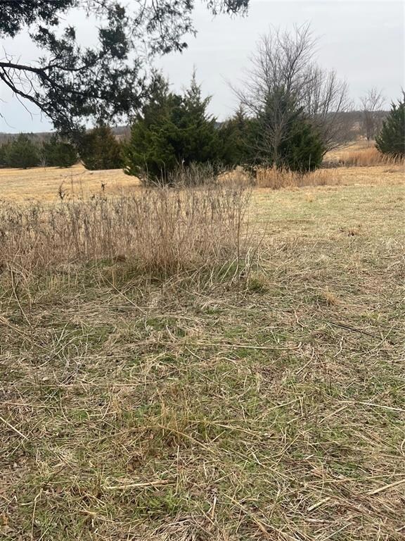 Lot 2 County Road 178, Gainesville, TX 76240 - photo 4