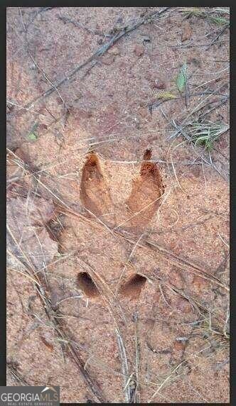 1047 Ponder Trammell Rd, Juliette, GA 31046 - photo 4