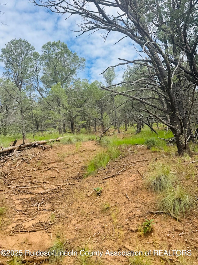 - Johnnys Dr, Timberon, NM 88350 - photo 3