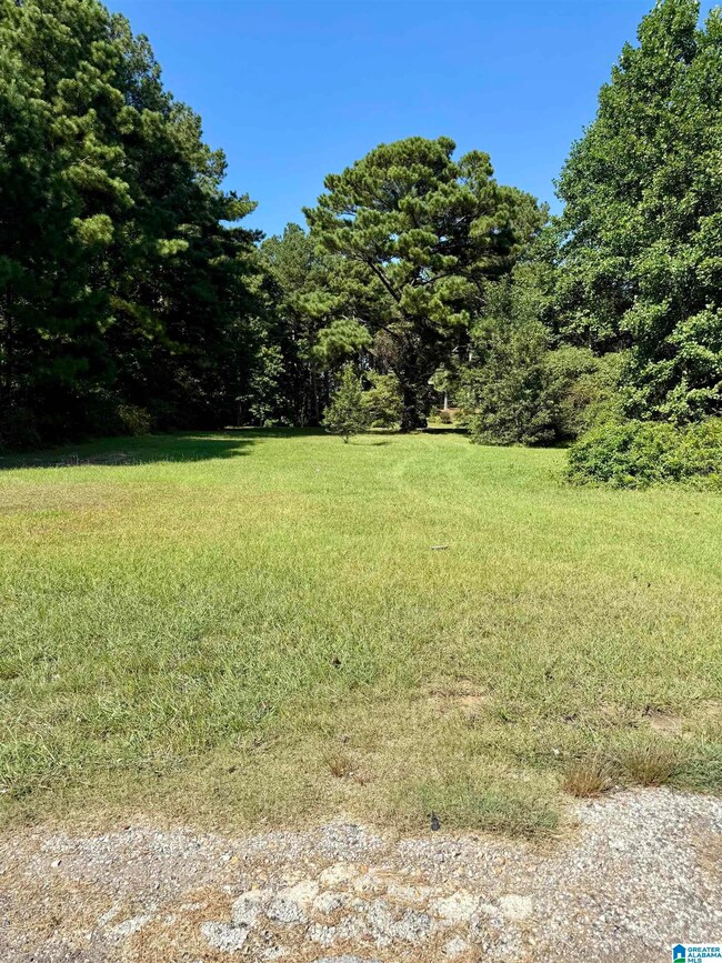 0 Highway 46 unit 2 21430866, Heflin, AL 36264 - photo 4