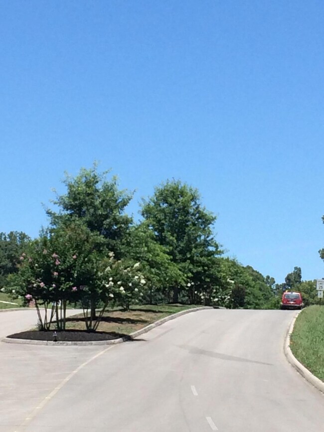 Double-lane and tree-lined entranceway