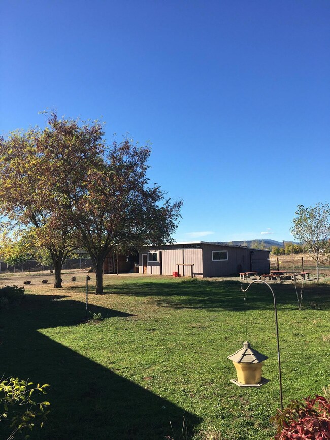 Additional Photo