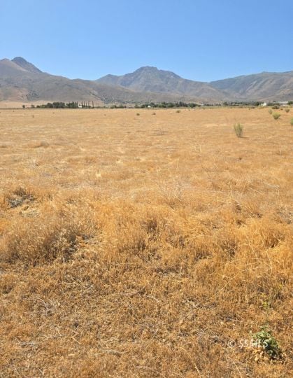 426-390-06 Lakeview Rd, Weldon, CA 93283 - photo 4