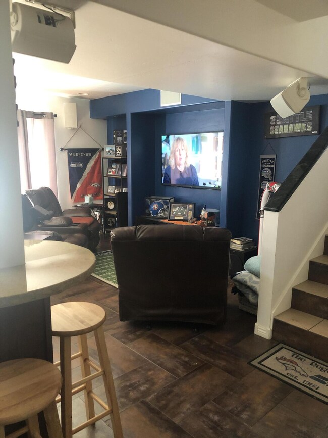 Lower Level Family Room