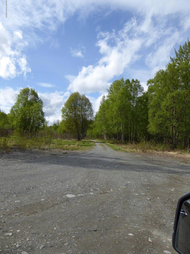 11132 Little Rd, Trapper Creek, AK 99683 - photo 5