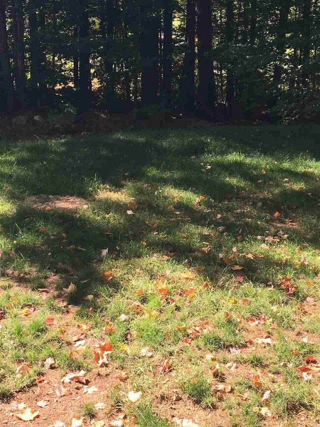 65 Forest St, Sanbornville, NH 03872 - photo 6