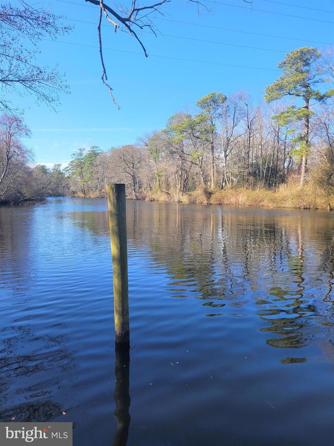 452 W 6th St, Laurel, DE 19956 - photo 4