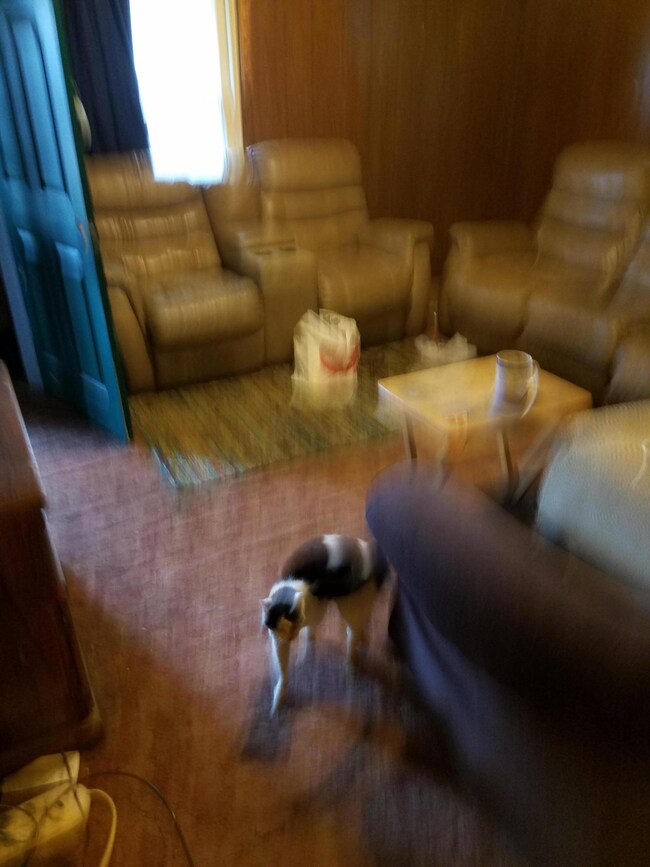 618 E Maple St, Johnson City, TN 37601 - photo 3