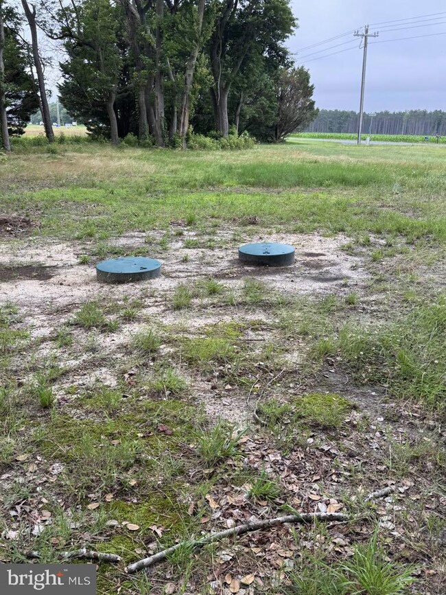 14073 Old Furnace Rd, Georgetown, DE 19947 - photo 3