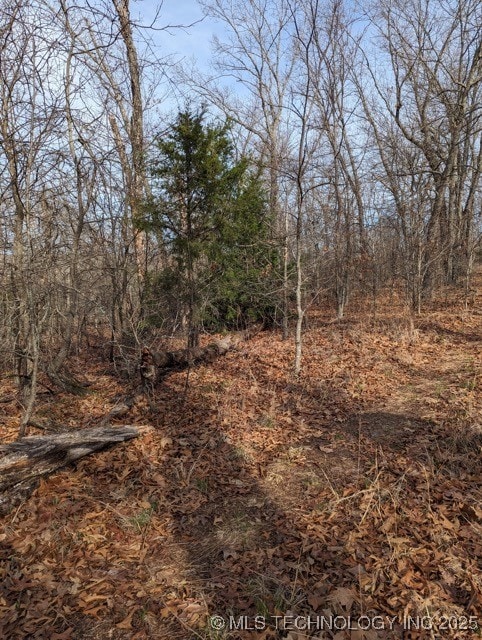 0 S 4550 Rd unit 2550176, Vian, OK 74962 - photo 4