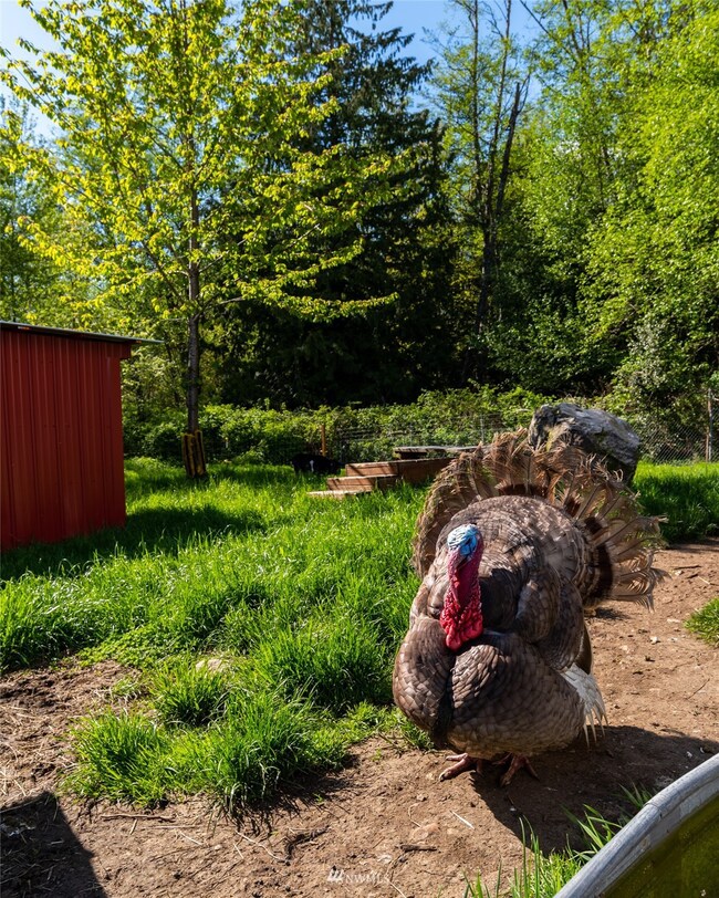 29326 28th Ave NW, Stanwood, WA 98292 - photo 6