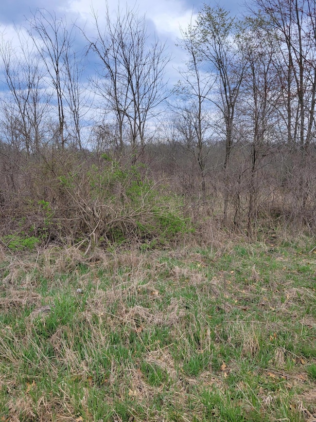 0 Rentz Rd unit 25017889, Ann Arbor, MI 48103 - photo 3