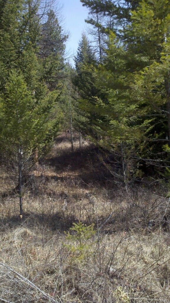 1004 Spring Hill Rd, Kila, MT 59920 - photo 4